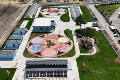 Sakarya’da sokak hayvanlarına güvenli yuva