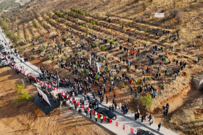 Deprem Şehitleri Hatıra Ormanı yenileniyor