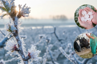 Ekim'de üreticilere 11,6 milyar TL hasar tazminatı ödendi