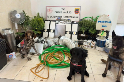 Düzce’de uyuşturucu operasyonu: 1 gözaltı