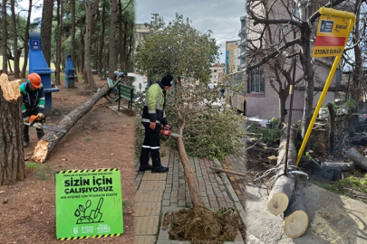 Lodos Bursa'yı vurdu! Büyükşehir sahada