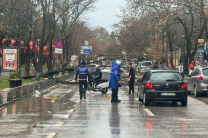 Kocaeli Büyükşehir'de lodos müdahalesi