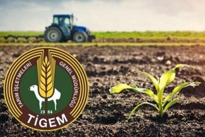 TİGEM Karacabey İşletmesi 98,7 ton kimyevi gübre alacak