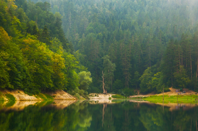 Milli parklar ve doğa korumada yeni dönem... Kanun teklifi TBMM'de kabul edildi