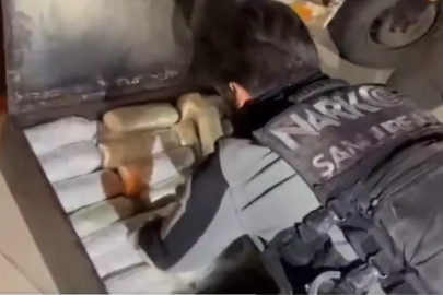Şanlıurfa’da 20 kilogram skunk ele geçirildi