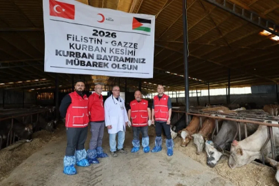 Türk Kızılayı'ndan vekaletle kurban kesimi