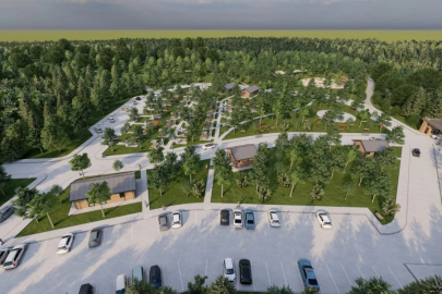 Sakarya'da 80 dönüm üzerine doğa projesi