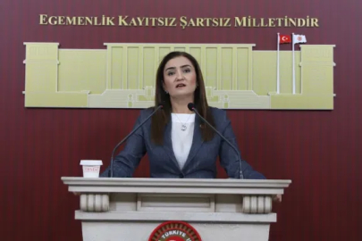 CHP Grup Başkanvekili Kılıç’tan 'silahsızlanma' vurgusu